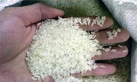 Exportaciones de arroz de Vietnam alcanza nuevo récord en 2012