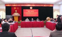 Recopilan opiniones de vietnamitas en ultramar para enmiendas a Constitución