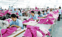 Abogan por mayor información a trabajadores vietnamitas