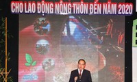 Vietnam promueve formación profesional de trabajadores rurales