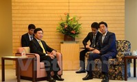   Vice premier vietnamita dialoga con líderes de Japón