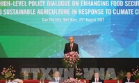 Las economías miembros de APEC abogan por garantizar la seguridad alimentaria