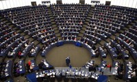 Parlamentarios europeos determinados en la lucha anticorrupción