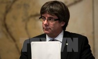 El Senado de España ofrece a Puigdemont debatir con el Gobierno sobre el artículo 155