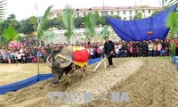 Étnicos Tay en Tuyen Quang celebran el festival de Long Tong