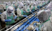 Unión Europea elogia compromisos de Vietnam contra pesca ilegal