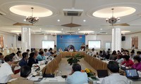 Quang Tri celebra una conferencia sobre solidaridad y paz mundial