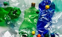Embajadas extranjeras ayudan a reducir desechos plásticos en Vietnam