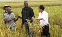 Vietnam aspira a consolidar los nexos con África