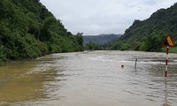 Lluvias prolongadas causan pérdidas económicas en Vietnam