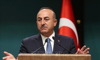 Presidentes de Turquía y Rusia debatirán el tema de Siria en Sochi