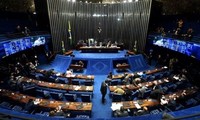 Partido de Lula se posiciona como mayor fuerza política en Cámara Baja de Brasil