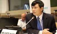 Vietnam expresa su preocupación en la ONU por la escalada del conflicto en la Franja de Gaza
