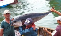 Vietnam determinado por el desarrollo sostenible y responsable de la pesca