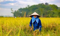 Inauguran VII Congreso de la Asociación de Agricultores de Vietnam