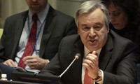 ONU desea un proceso de transición “pacífico y democrático” en Argelia