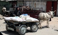 ONU advierte de la escasez de presupuesto para las ayudas alimentarias en Palestina