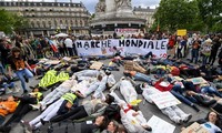 Marchas en Francia para denunciar actividades de Bayer-Monsanto