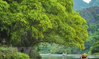 Diario malasio destaca avance de turismo en Vietnam