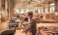 Aumentan un 20% las exportaciones de productos forestales de Vietnam