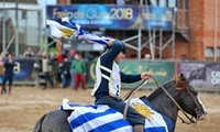 Exportan caballos uruguayos a Singapur