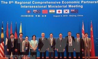 Proyectan firmar Acuerdo de Asociación Económica Integral Regional en Vietnam en 2020