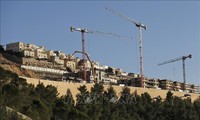 Autoridad Palestina elogia resolución a favor de la “solución de dos Estados”