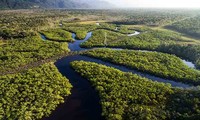 Brasil y Alemania firman acuerdo para producción sostenible en la Amazonía