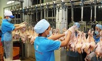 Vietnam exportará pollo procesado a Rusia