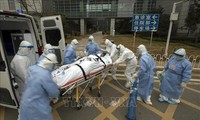 China continental registra 13 muertes y 11 infectados más con SARS-CoV-2