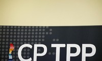 Firmantes del CPTPP coinciden en promover la economía digital en medio del covid-19