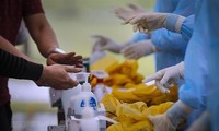 Vietnam cura con éxito a 1.281 pacientes de covid-19