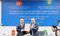 Celebran IV Reunión del Comité Mixto de Cooperación Económica, Científica y Técnica Vietnam-Arabia Saudita