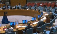 Consejo de Seguridad de la ONU debate los impactos del covid-19 en la lucha contra el terrorismo