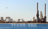 OPEP permite a los Emiratos Árabes Unidos producir más petróleo