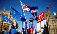 Comisión Europea pide al Reino Unido resolver sus problemas de inmigrantes