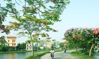 Vietnam promueve el desarrollo de las nuevas zonas rurales