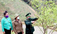 Gobierno de Vietnam promulga Resolución sobre desarrollo socioeconómico en zonas fronterizas terrestres