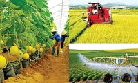 Afirman el papel de la agricultura, las zonas rurales y los agricultores