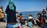 Turquía salva a más de once mil inmigrantes ilegales en el mar Egeo