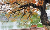 Hanói entre los 12 destinos de otoño más bellos del mundo, según CNN