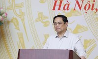 Primer ministro de Vietnam preside conferencia en línea sobre prevención y extinción de incendios