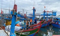 Provincias centrales vietnamitas se preparan ante la tormenta Noru