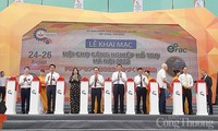 Hanói fortalece el desarrollo de las industrias auxiliares