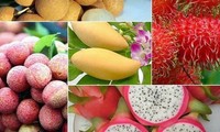 Vietnam ingresará más de cinco mil millones de dólares por exportación de frutas para 2025
