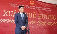 Vietnamitas en diferentes países celebran el Tet 2023