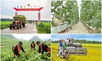 Vietnam establece metas de reducción de la pobreza para 2023