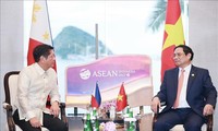 Vietnam y Filipinas abogan por elevar el intercambio comercial a 10 mil millones de dólares