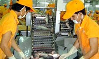 Vietnam proyecta lograr 2 mil millones de dólares de exportación de pescados Tra