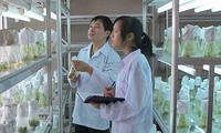 Vietnam reserva más capital para la aplicación científico-técnica